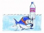snorklefish